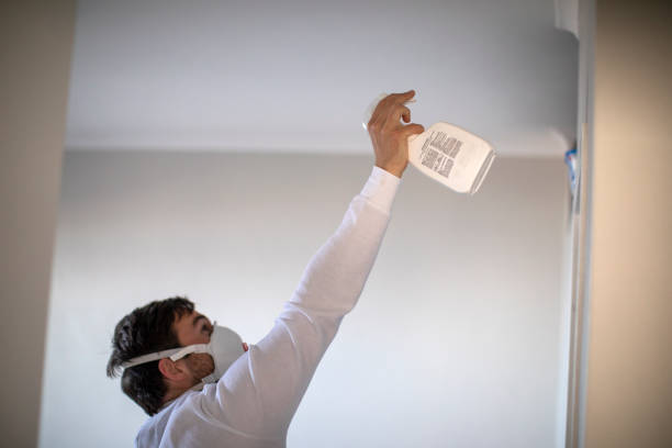 Best Attic Mold Removal  in Prosperity, SC
