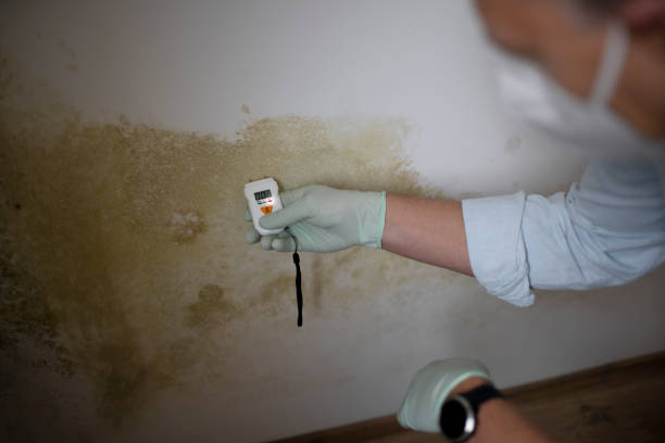 Crawl Space Mold Removal in Prosperity, SC