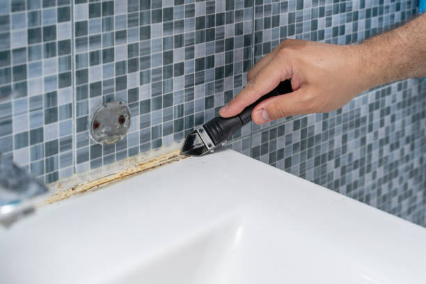 Best Toxic Mold Removal  in Prosperity, SC