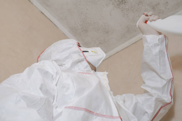 Best Office Mold Removal Services  in Prosperity, SC
