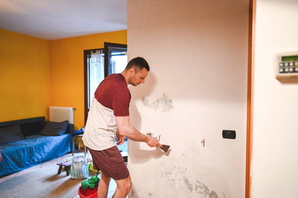 Best Black Mold Removal  in Prosperity, SC